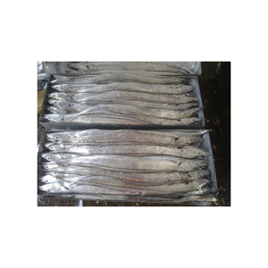 ปลาริบบอนแช่แข็งขายส่ง ราคาถูก จัดส่งจำนวนมาก สดใหม่จากแหล่งจับปลา - Product Image 1