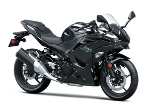 Motocicleta Ninja 500 2024 - Product Image 2