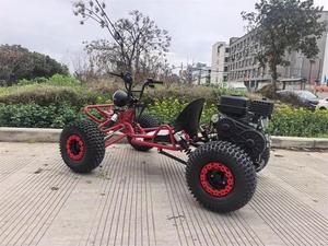 Kart tout-terrain monoplace pour adulte, 208cc, à essence, 35 km/h, garantie 3 ans, fabrication OEM de haute qualité, directement de l'usine, DIY - Product Image 2