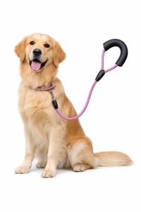 Laisse pour chien en nylon robuste à rayures, réglable, avec poignée rembourrée douce, fabricant OEM - Product Image 4