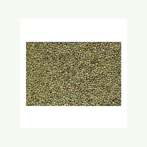 Venta caliente orgánico canadiense lentejas verdes enteras cantidad a granel lentejas verdes secas a precio competitivo - Product Image 3