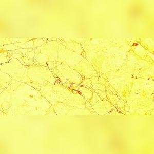 Carreaux vitrifiés à finition brillante hypnotique 600x1200mm pour des déclarations audacieuses dans les halls d'entreprises et les retraites privées - Product Image 5