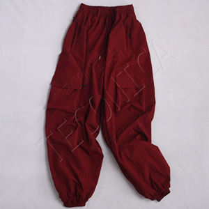 Pantalon Cargo de Ski Snowboard Unisexe Design Personnalisé Respirant Imperméable OEM Nylon Oversize Streetwear Fermeture à Glissière Coupe-Vent - Product Image 3