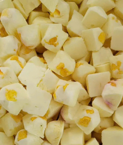 Fruits lyophilisés et cubes de yaourt Snack sain pour tous les âges Fourniture en vrac OEM disponible - Product Image 5