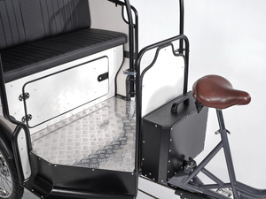 รถสามล้อโดยสารไฟฟ้าพร้อมหลังคาที่สะดวกสบายและการขนส่งที่เป็นมิตรกับสิ่งแวดล้อม - Product Image 2