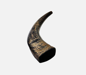 Authentic Handcrafted Polished <b>Black</b> Buffalo Shofar Horn Featuring Rugged Distressed Golden Texture Traditional Religious Music - Product Image 5