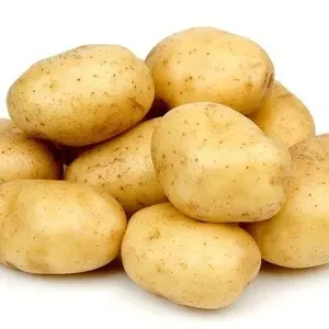 Экспортное качество, широко продаваемые Высококачественные свежие овощи египетского свежего картофеля от производителя египетского происхождения