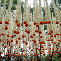Melati elegan dengan rangkaian bunga gantung Marigold untuk dekorasi pernikahan, dekorasi langit-langit Genda Phool