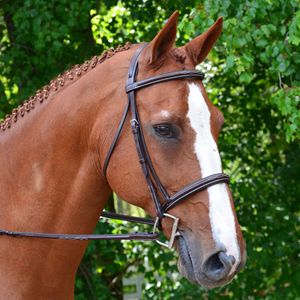 Bride Western Horse 2019 de haute qualité avec logo personnalisé et tête en cuir - Product Image 5