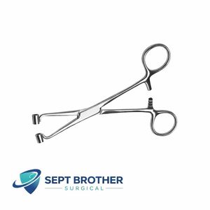 Stainless Steel <b>Sponge</b> Holding Forceps Ring Tip Surgical Instrument Autoclavable, Reusable - Product Image 2
