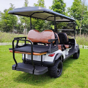 Nouveau design de voiture électrique 2 4 6 8 places, voiturette de golf, buggy, scooter, voiturette de golf électrique tout-terrain avec contrôleur Curtis - Product Image 6