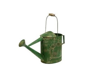 New Arrival Hot Selling Metal <b>Galvanized</b> Water <b>Cans</b> for Garden Decoration at <b>Wholesale</b> Price From India - Product Image 3