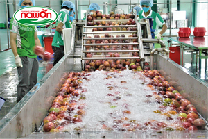 50% jus de fruits mélangés peut 330ML boissons de jus de qualité supérieure en gros meilleur prix fabricant de boissons du Vietnam - Product Image 5