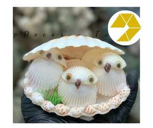 Creative Snail Shell Ornaments Charming Seashell Animal Designs Ideal Gifts Bulk Seashell Animal Amazing <b>Deals</b> Ready to Deliver - Product Image 2