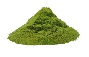 Polvo de Moringa Premium - Product Image 5