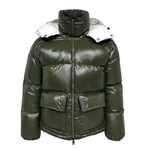Veste matelassée imperméable de haute qualité, écologique, à manches longues, pour l'hiver, couleur personnalisée, fermeture éclair sur le devant, vestes pour hommes - Product Image 1