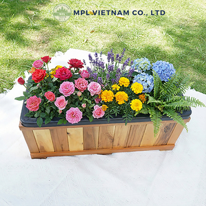 Jardinières d'extérieur luxueuses en bois, écologiques, biodégradables et durables, avec trous de drainage, pour plantes et fleurs, pour la maison - Product Image 5