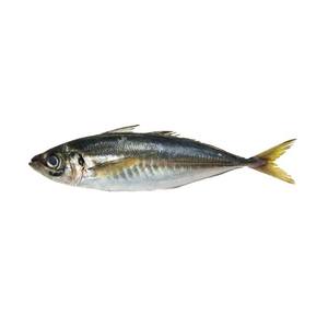 Suministro de caballa congelada pescado de caballa del Pacífico congelado Atka corte barato - Product Image 2