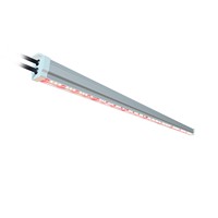 Barre lumineuse LED GE35 pour culture verticale de fraises, en aluminium, à spectre personnalisé, dimmable, pour usine de culture, CRI 90 élevé