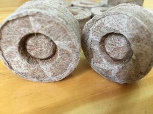 เมล็ดพันธุ์ 99 GOLD DATA Midu Natural Coco Fiber ใน Jiffy Block Jiffy Coco Peat Coir Disc Peat สำหรับปลูกต้นไม้ - Product Image 3