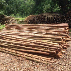 Pile de bois fabriquée au Vietnam et prête à exporter - Product Image 2