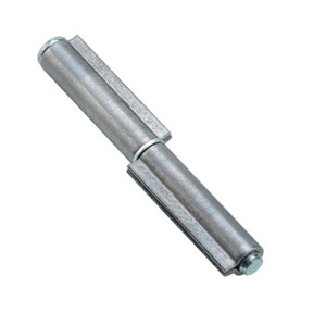 Cerniera in Ferro a 2 Alette da 10 cm con Perno e Rondella Sfilabile in Acciaio - Product Image 1