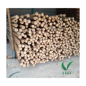 Bastones de bambú secos para jardinería-Proveedor mayorista de Vietnam - Product Image 1