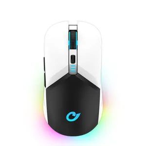 Wireless Gaming Mouse USB Game Mice 6 Buttons Design Breathing RGB Colors 2.4GHz/BLE/USB-C Gaming Accessories for PC Laptop Mac