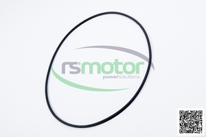 Original/OEM O-Seal para MWM Nuevas piezas de motor de gas natural para motor de maquinaria - Product Image 4