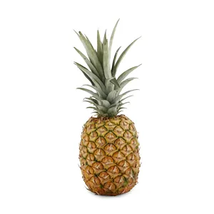 Frische Ananas aus Österreich Tropical Sweet Style Gewicht Herkunft Typ Größe Produkt Obst Ort Geschmack Anbau Common