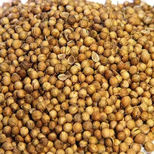 Semillas de cilantro marrón natural a la venta - Product Image 1