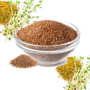 Alfalfa | Seleccionada por alta nutrición y alimentación fácil - Product Image 6