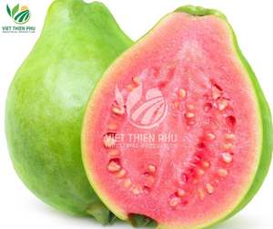 Cubes de goyave roses congelés organiques IQF du Vietnam motifs entiers et tranchés eau conservée en vrac emballée sous vide exportation bon marché - Product Image 1