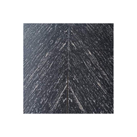 Nouveauté : Carreaux de granit naturel attrayants, granit noir disponible à prix abordable