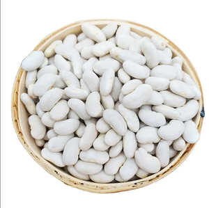 ถั่วแดงเข้มคุณภาพสูง ออร์แกนิก แบบขายส่ง รูปทรงยาว - Product Image 2