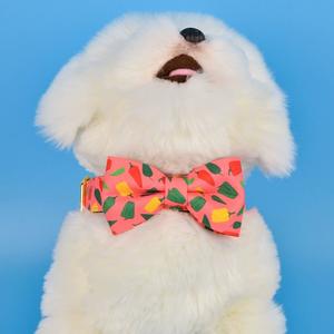 Accesorios para mascotas, <span class=keywords><strong>Collar</strong></span> de lujo personalizable de poliéster para perro, <span class=keywords><strong>Collar</strong></span> ajustable con estampado Floral para mascotas para entrenamiento - Product Image 3