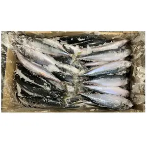 Seafood Export Japanese Suppliers Frozen Price Other Fish Mackerel