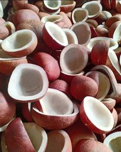 Copra de Coco Seca de la Mejor Calidad, 100% Natural, con Alta Calidad y Buen Precio, de Indonesia - Product Image 1