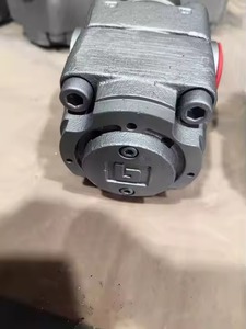 Bomba de pistón completa de la serie QX22, 22-008R06, de 22-008R06, de la serie 22-008R06, de la bomba de pistón, de la serie QX22 - Product Image 6