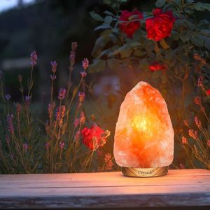 Beautifully Carved Pink Himalayan Salt <b>Lamp</b> Love-Style Collectible Art Bowl with <b>Dimmer</b> <b>Switch</b> and Wooden Base - Product Image 1