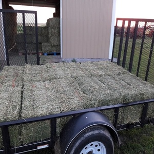 Alfafa Hay for Animal <b>Feeding</b> /alfalfa hay <b>Pellets</b> /Timothy Hay in Bales - Product Image 1