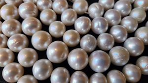Cuentas de perlas de agua dulce cultivadas naturales indias, hebras blancas sueltas sin tratar para la fabricación de joyas, efectos ópticos, cambio de piedras preciosas - Product Image 6