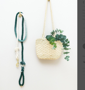 Stone Grey Organic Cotton Rope Dog <b>Leash</b> <b>Pet</b> Supplies Accessory Customized Colored Cotton Rope Handmade Dog <b>Leash</b> <b>Pet</b> <b>Leash</b> Set - Product Image 1