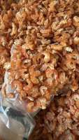 Dehydrated Vietnam Dried Shrimp Fresh Sea Product for Seasoning Paste Instant Soup Base and Snack Processing