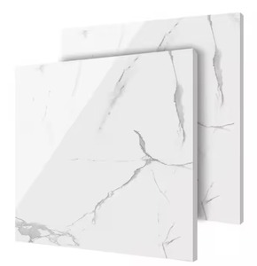 ส่งออกกระเบื้องเคลือบพื้นและกระเบื้องผนังขนาด600x600มม. - Product Image 6