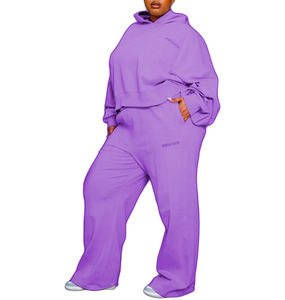 Ventes chaudes, dernier style, survêtement pour femmes, couleur personnalisée, fabrication de survêtement de qualité supérieure, survêtement court - Product Image 3