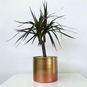 Finition cuivre foncé marron rond en métal plaqué avec base jardinière de fleurs d'ombre antique de bureau de haute qualité - Product Image 2