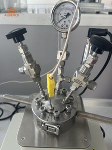 Reaktor Kimia Mini untuk Penelitian dan Reaksi Tekanan Tinggi 50ml 100ml Wadah Reaktor Lab - Product Image 2