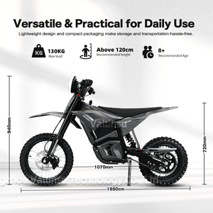 Vélo électrique Valtinsu Dirk <span class=keywords><strong>Bike</strong></span> <span class=keywords><strong>Factory</strong></span> 48V 2500 W 20.8Ah, batterie haute performance, vélo électrique pour jeunes, <span class=keywords><strong>pit</strong></span> <span class=keywords><strong>bike</strong></span> électrique - Product Image 6