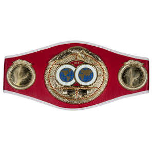 Ceinture de championnat de boxe et de lutte personnalisée, ceinture de championnat de boxe de qualité supérieure, best-seller, logo personnalisé par Elegant Sports - Product Image 5
